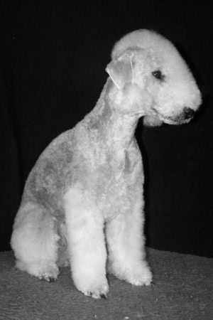 Alanna 02.03 (3).JPG